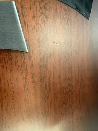 Taylor Guitars - 324CE V9 2